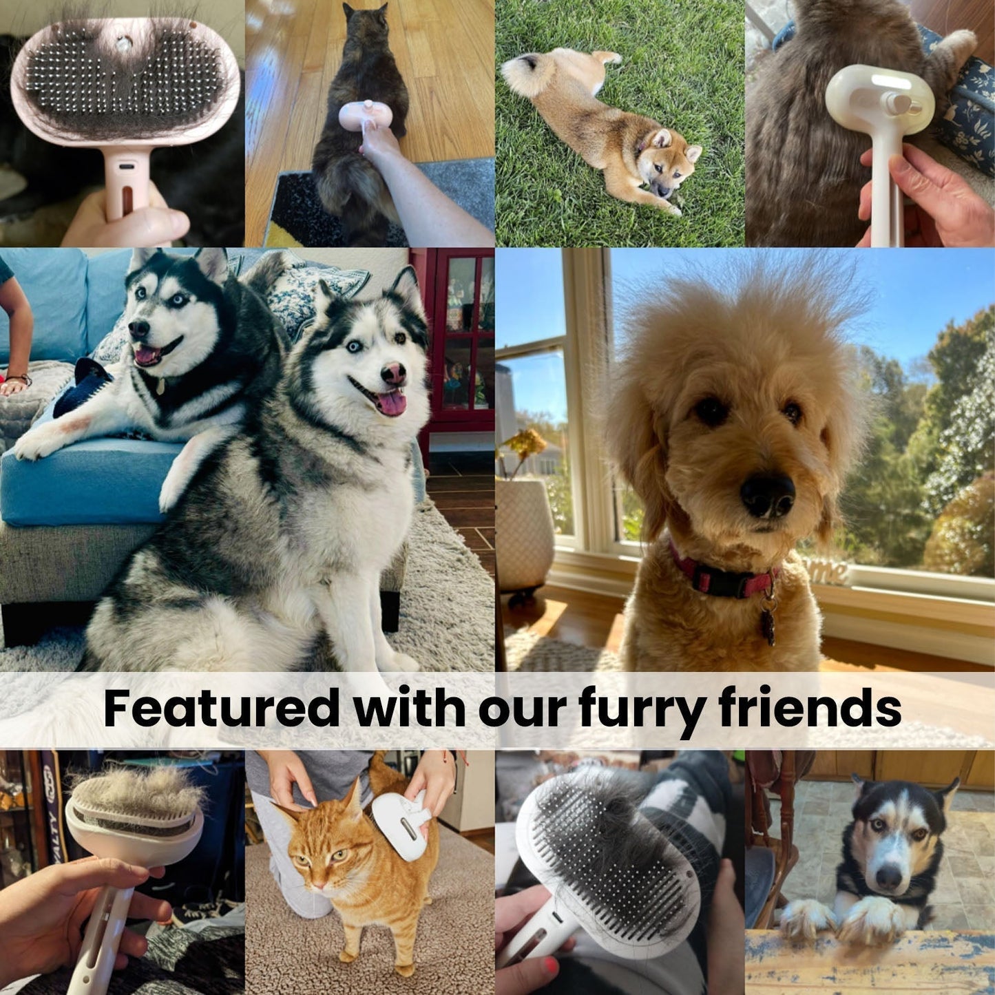 Pawlish Pet Grooming Brush