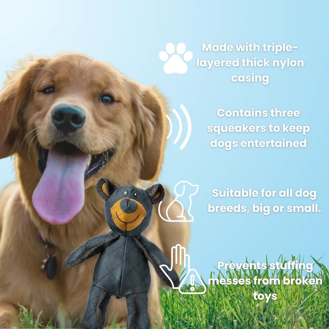 BearTough - Durable Chew Toy