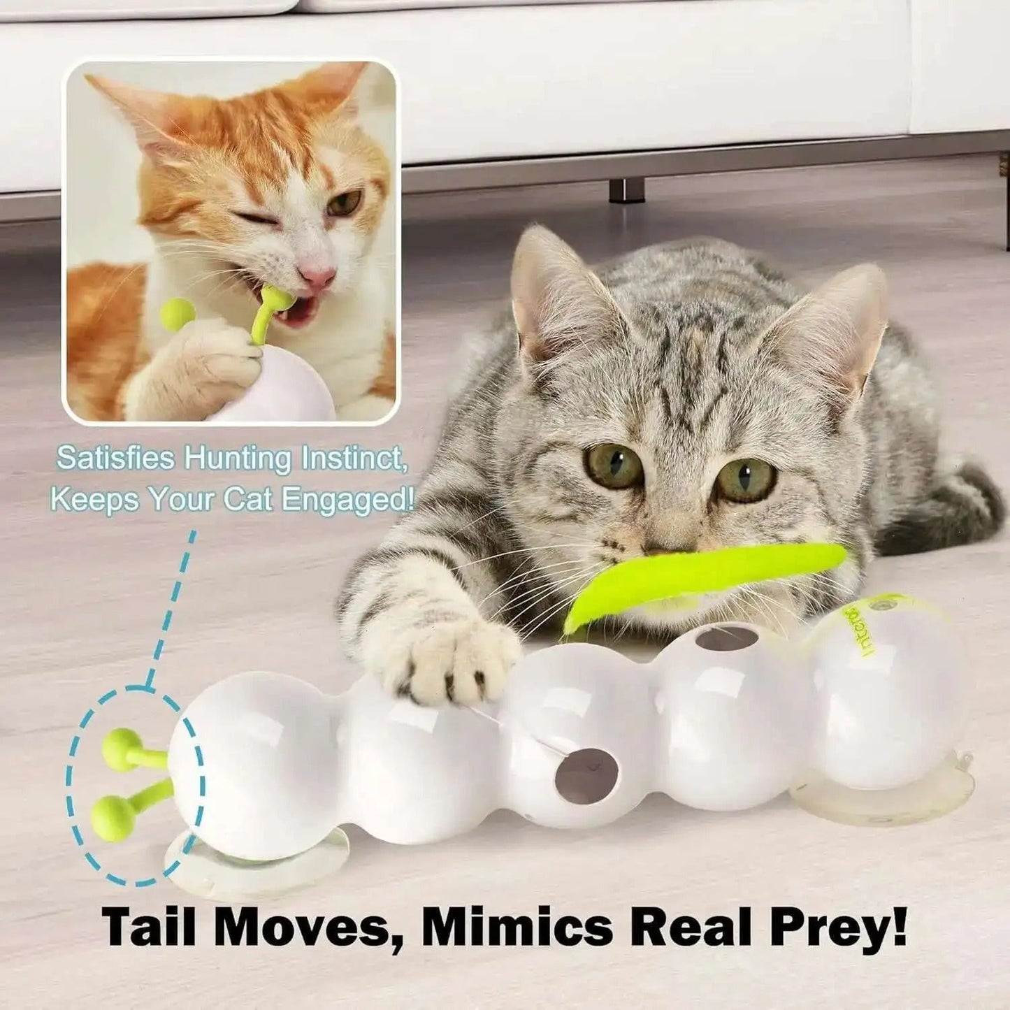 PurrWhirl โ Interactive Cat Toy with Worm Motion