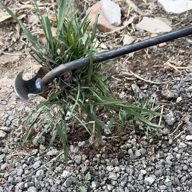 WeedMaster - Your Ultimate Weeding Tool