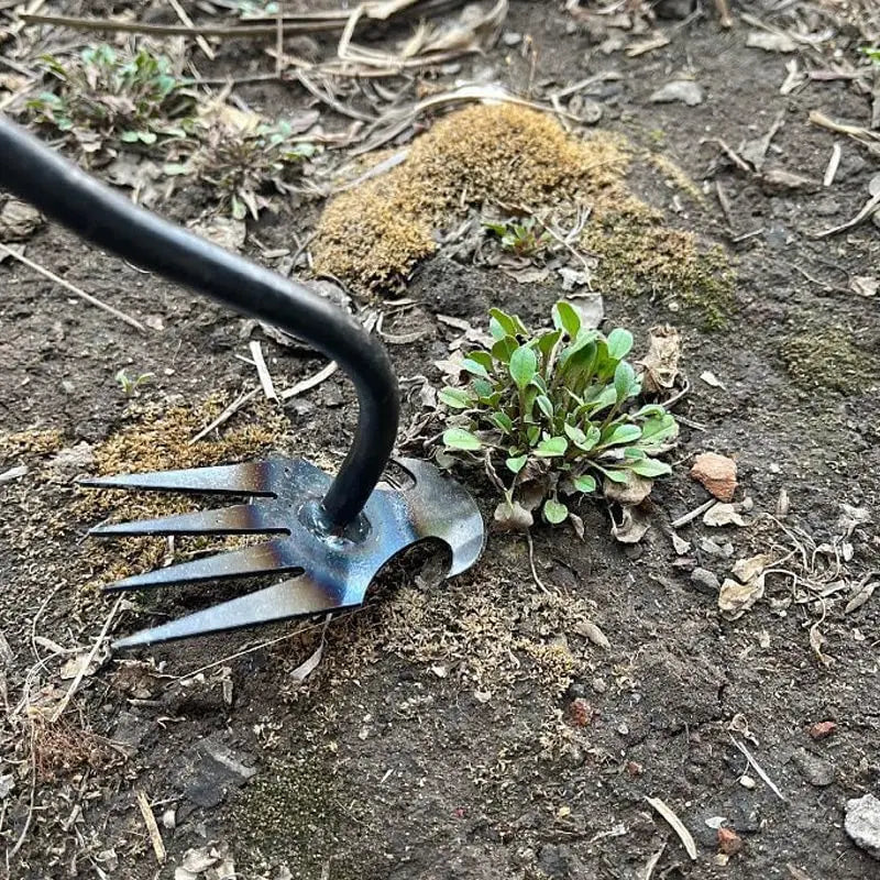 WeedMaster - Your Ultimate Weeding Tool