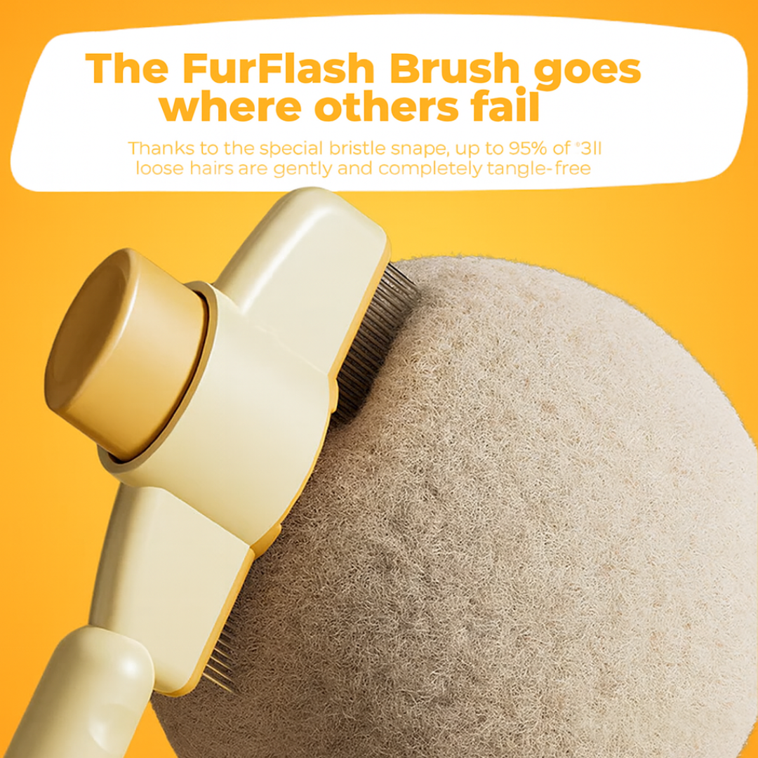 Fellblitz Brush - The Bestseller