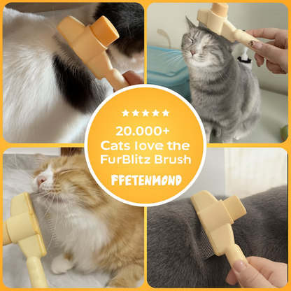 Fellblitz Brush - The Bestseller