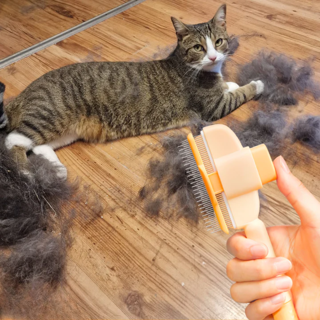Fellblitz Brush - The Bestseller